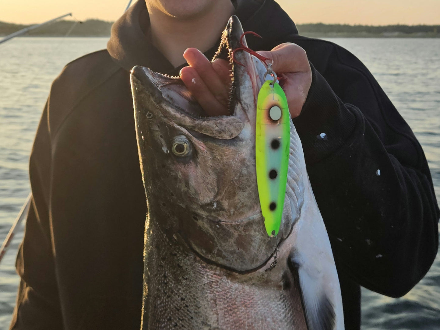 A person in a black hoodie holds a large salmon in a boat on the water, with a bright neon green and yellow trolling spoon attached near the mouth.
