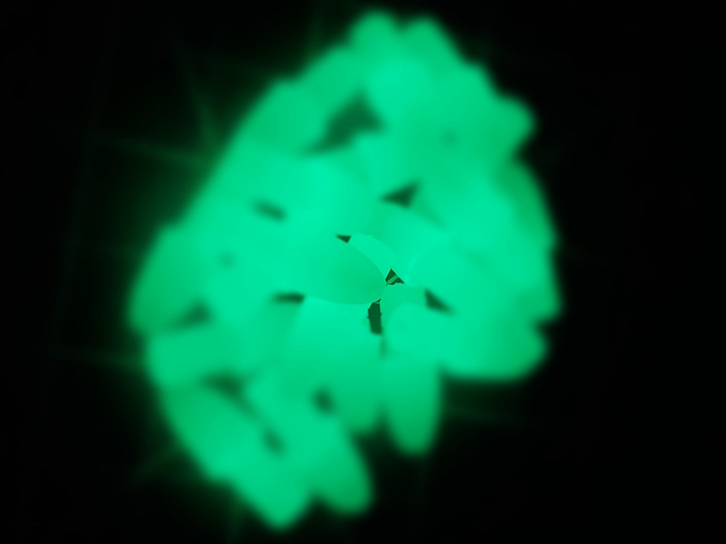20260115_092658.jpg