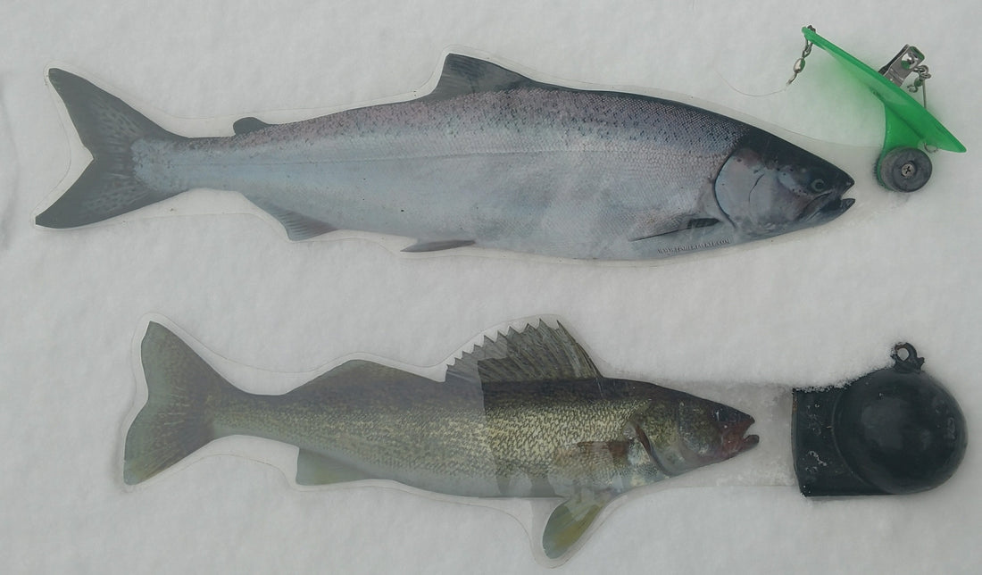 Jack! Salmon Cannonball Camo-Decoy Idea