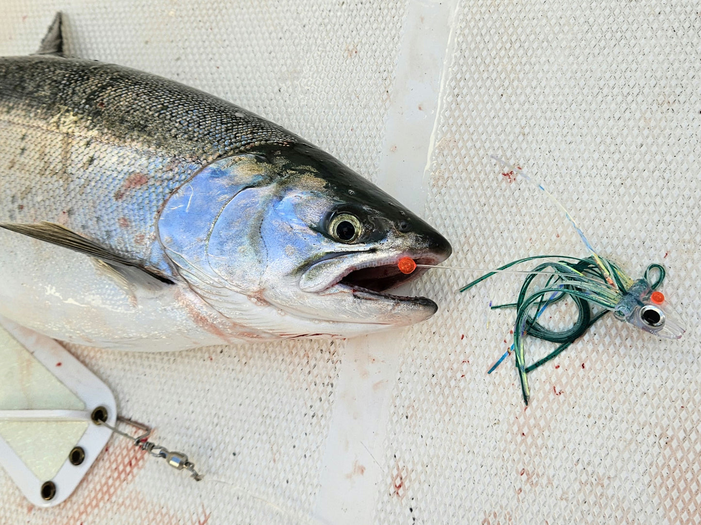 FlatHead Glow Salmon Trolling Fly  | Fisher Tackle