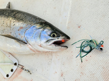 FlatHead Glow Salmon Trolling Fly  | Fisher Tackle