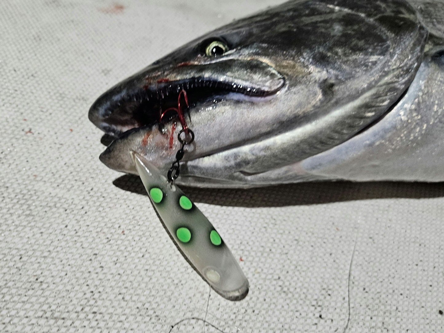 Salmon with a fishing lure in its mouth on a textured surface
