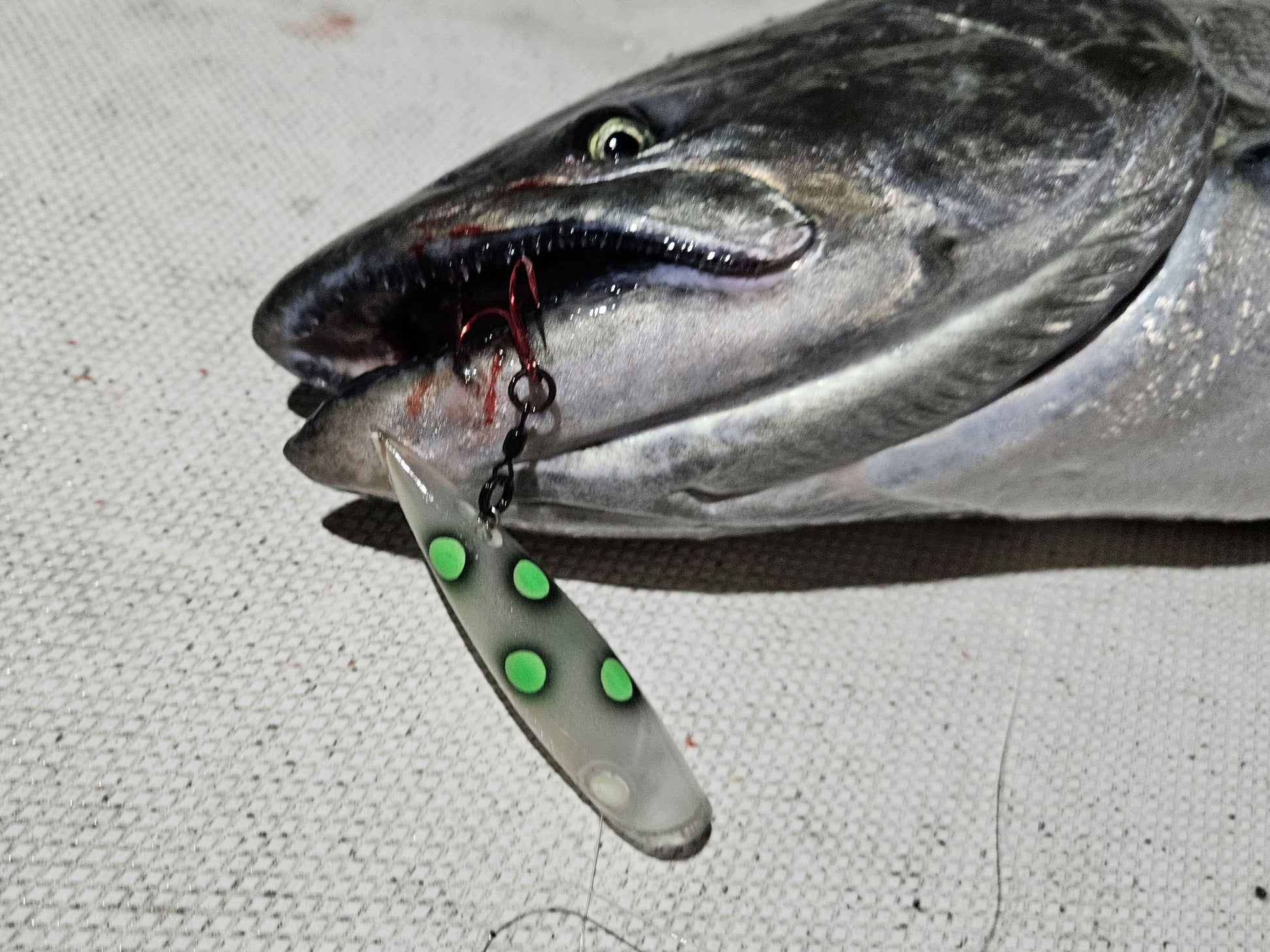 Salmon with a fishing lure in its mouth on a textured surface