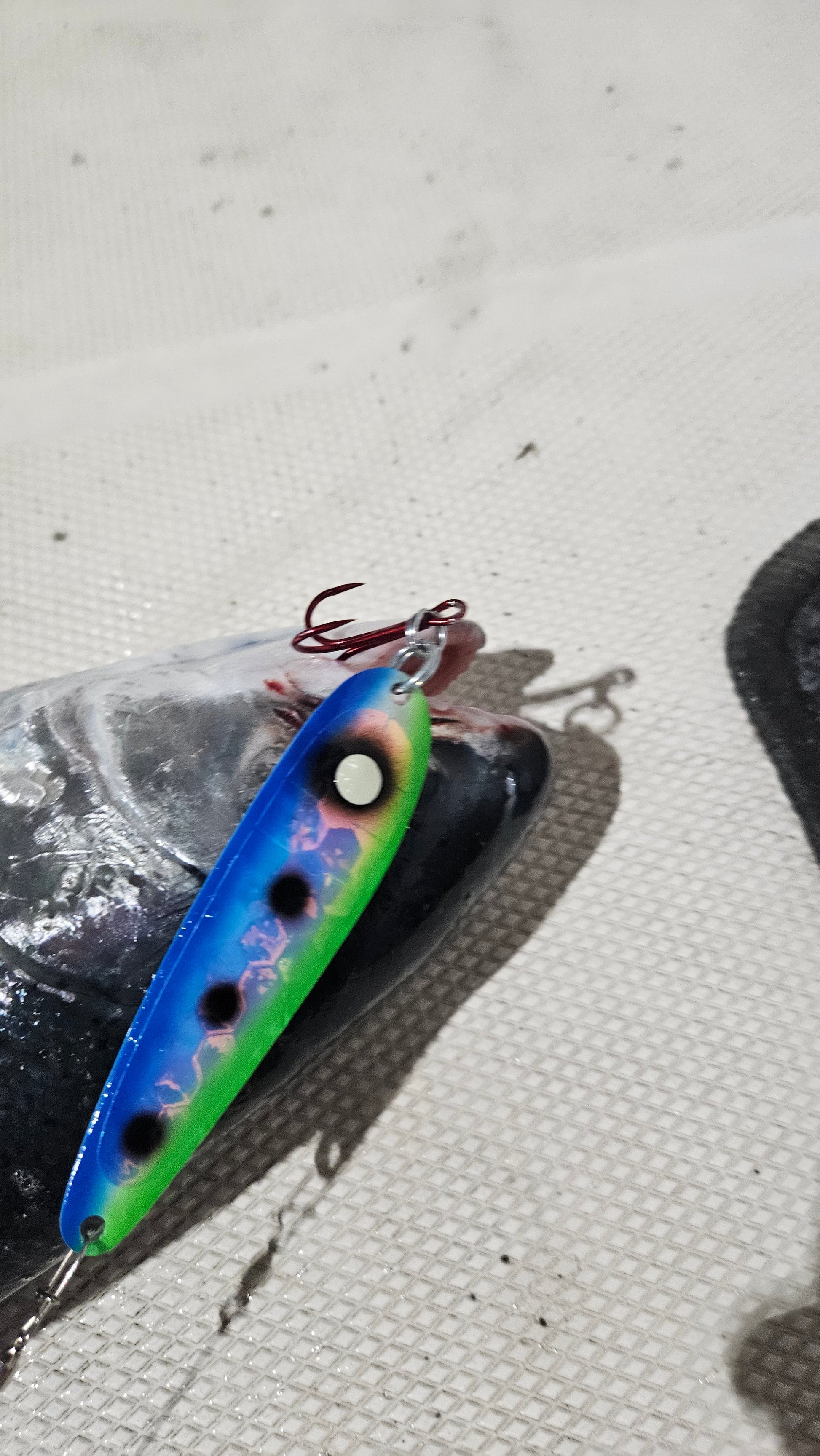 Blue and Green Trolling spoon in steelheads mouth on boat deck