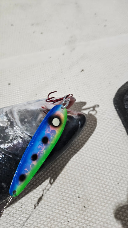 Blue and Green Trolling spoon in steelheads mouth on boat deck