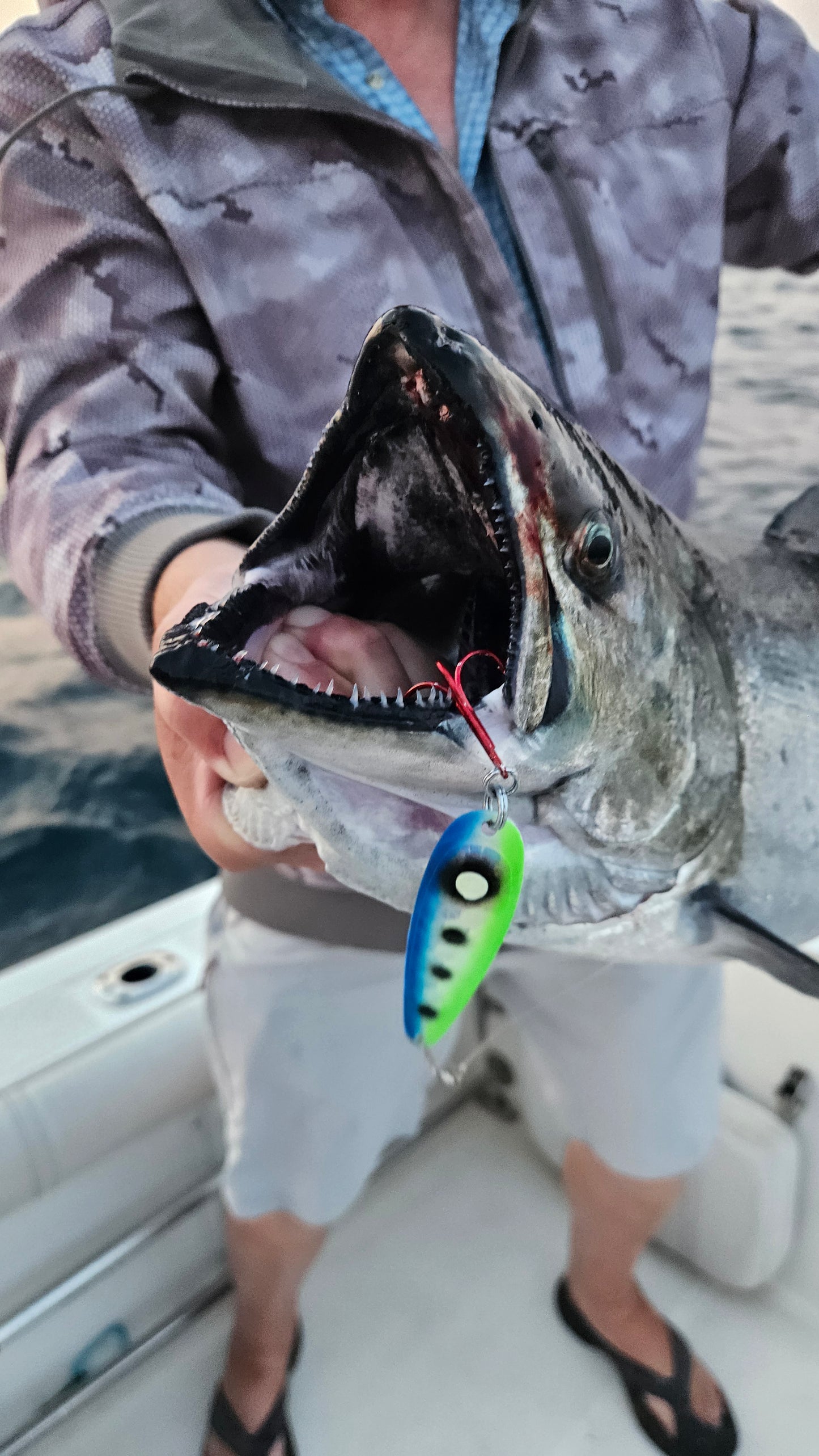 Blue and Green Trolling spoon hanging from salmons mouth water in background