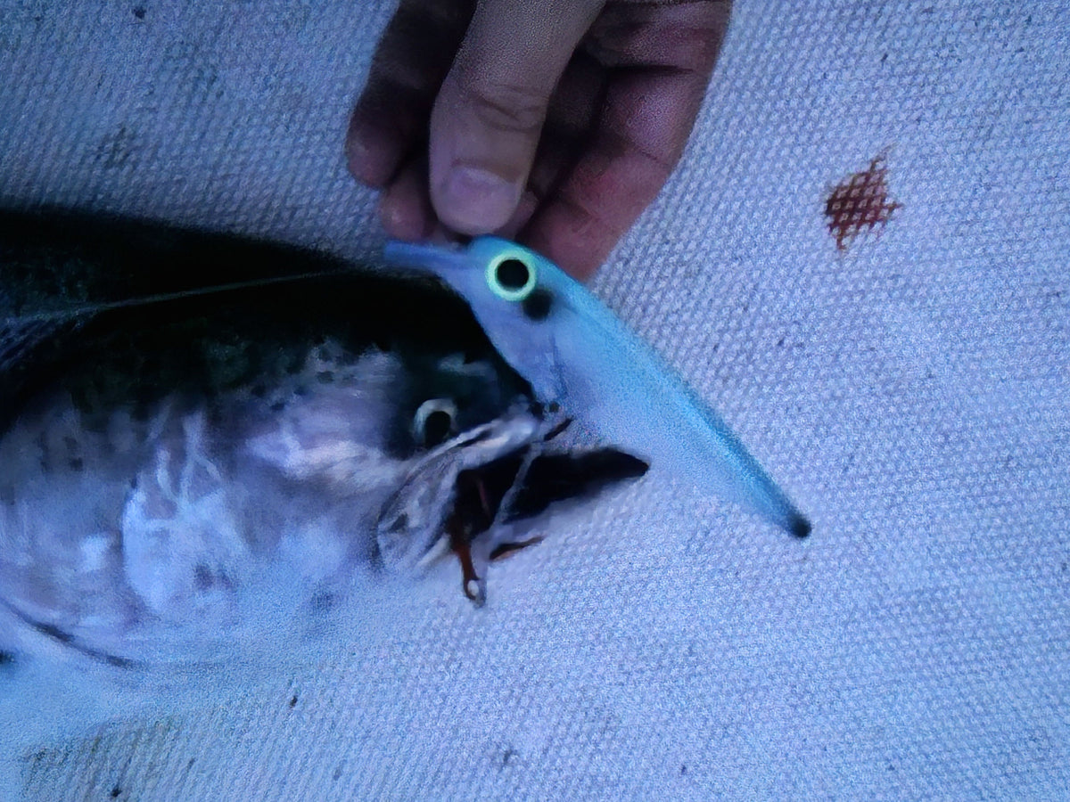 FlatFin Minnow 'Real Deal' Blue Trolling Lure
