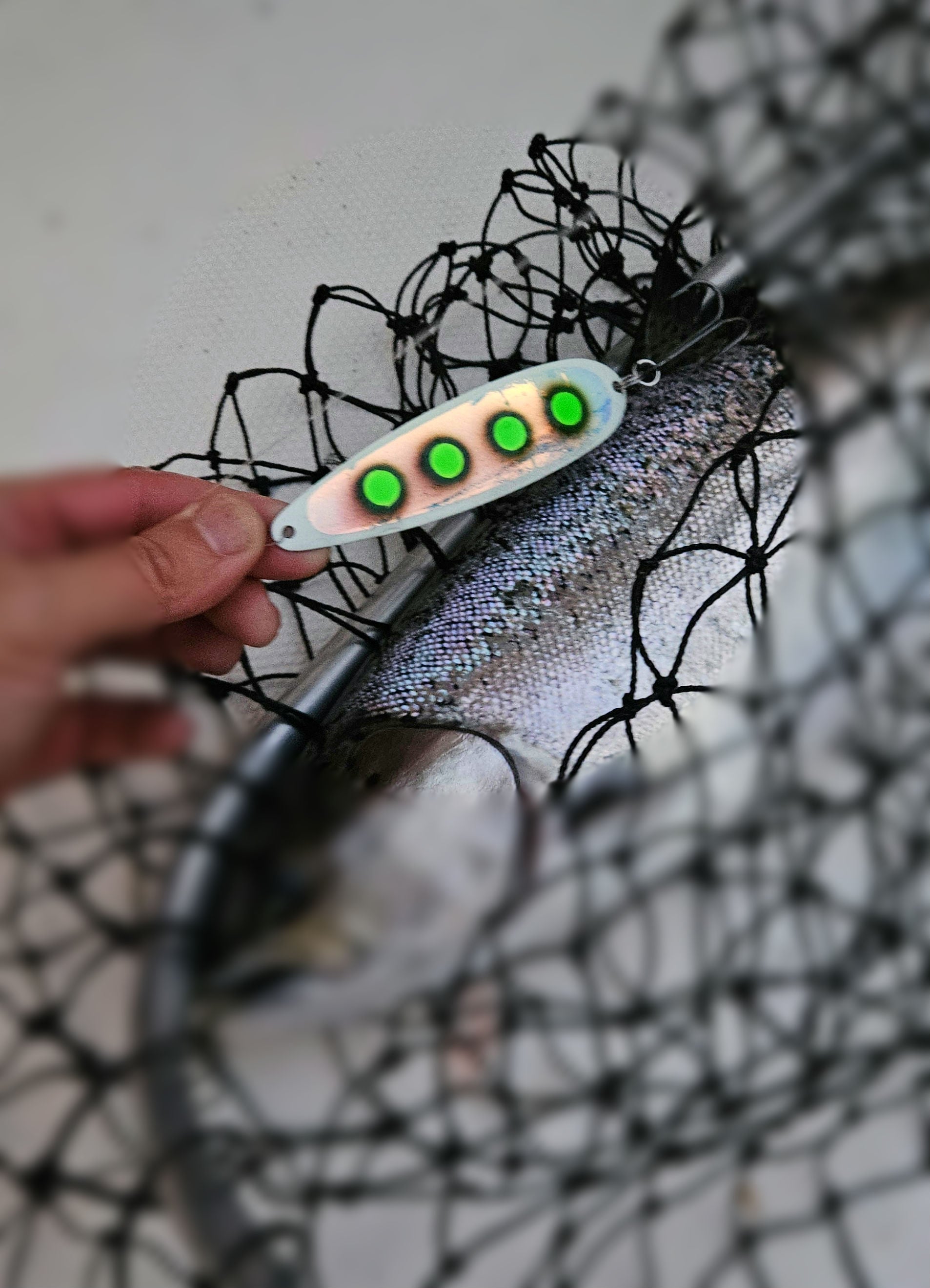 Green dotted salmon spoon held over a king salmon in a net