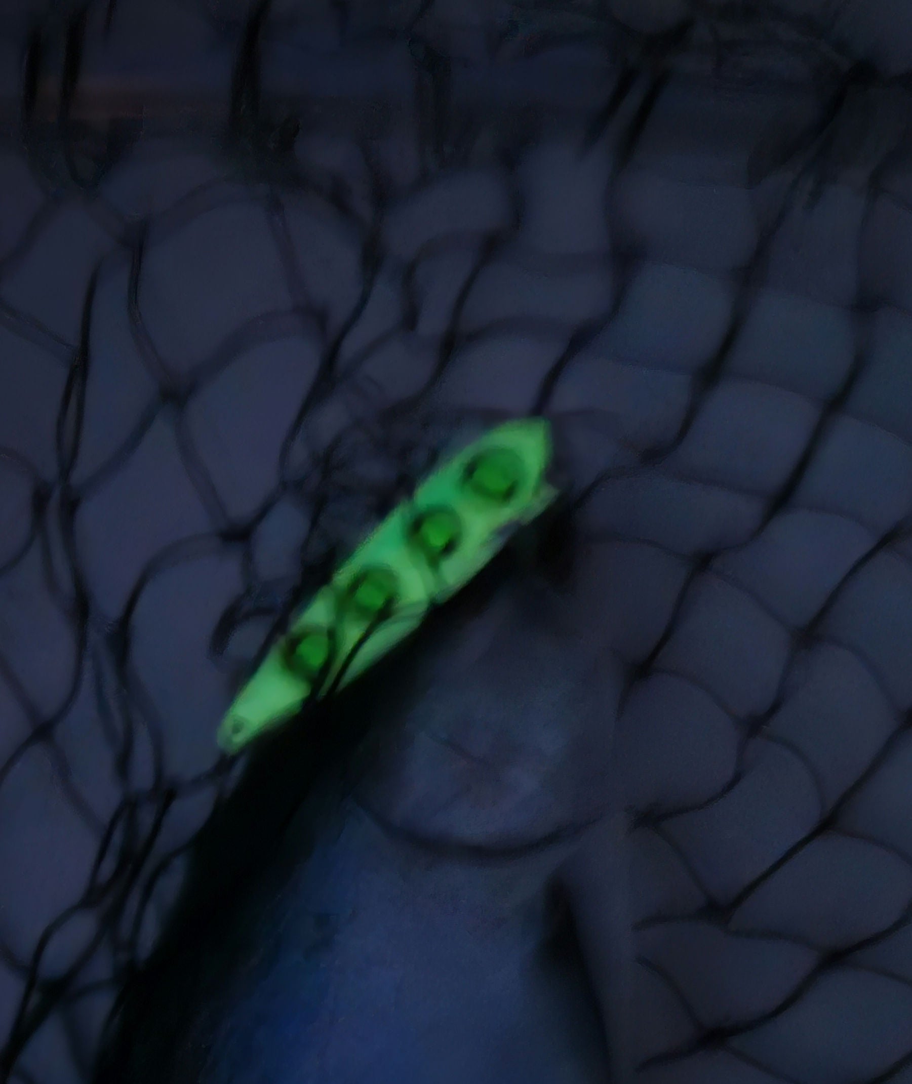 Green glowing spoon in fishes mouth in net in near dark