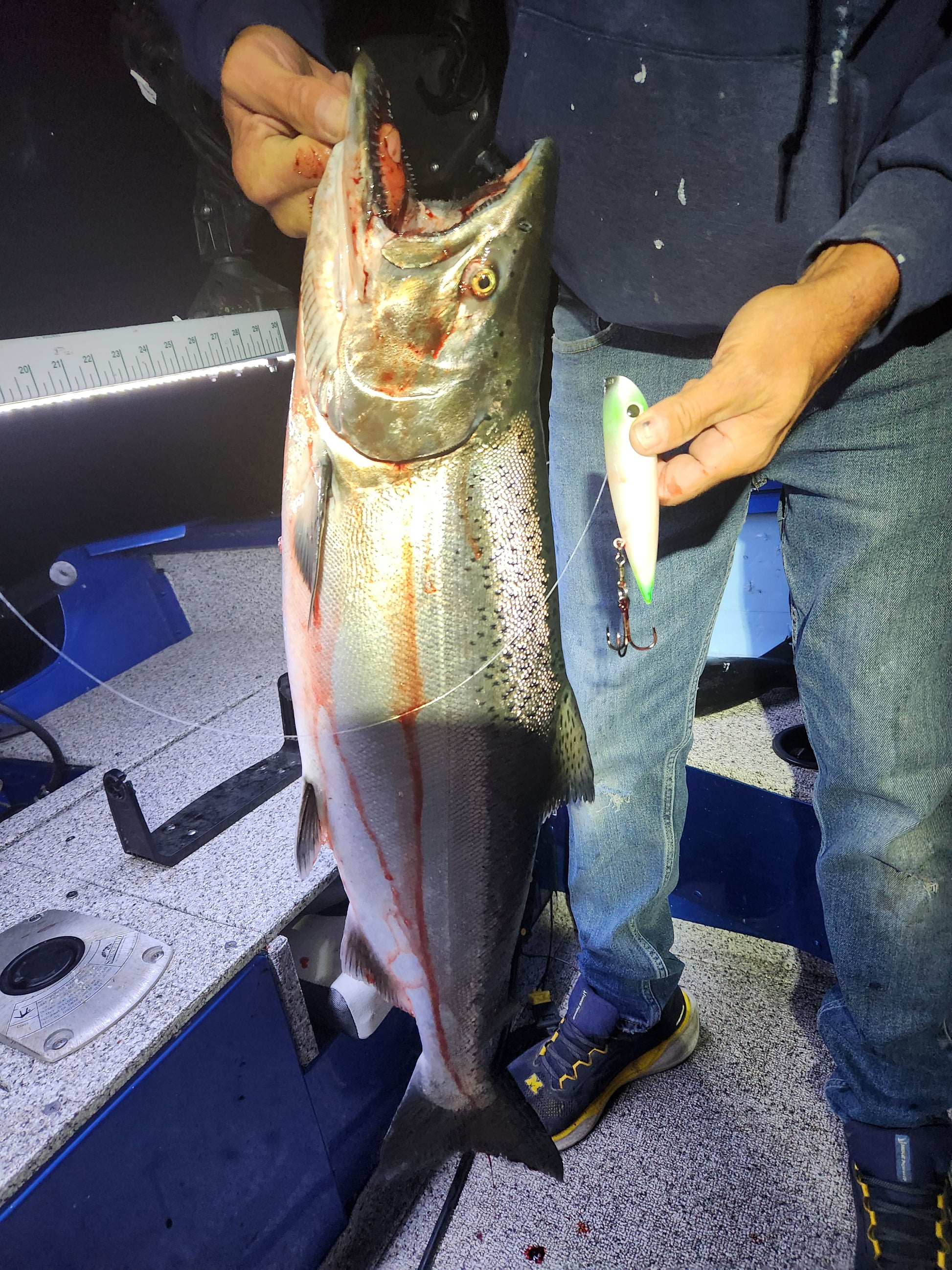 Salmon held by hand with white and green plug in dark in boat