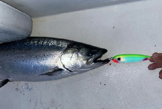 white boat deck with shiny silver king salmon laying with green spoon hooked in mouth