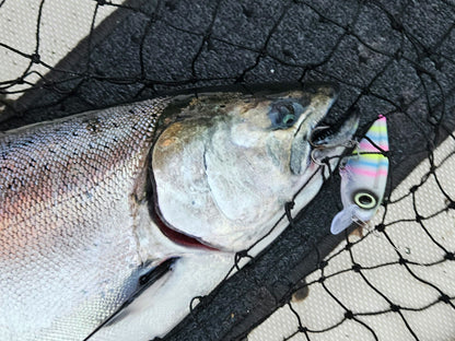 FlatFin Minnow 'Tiger Bread' Salmon Trolling Lure