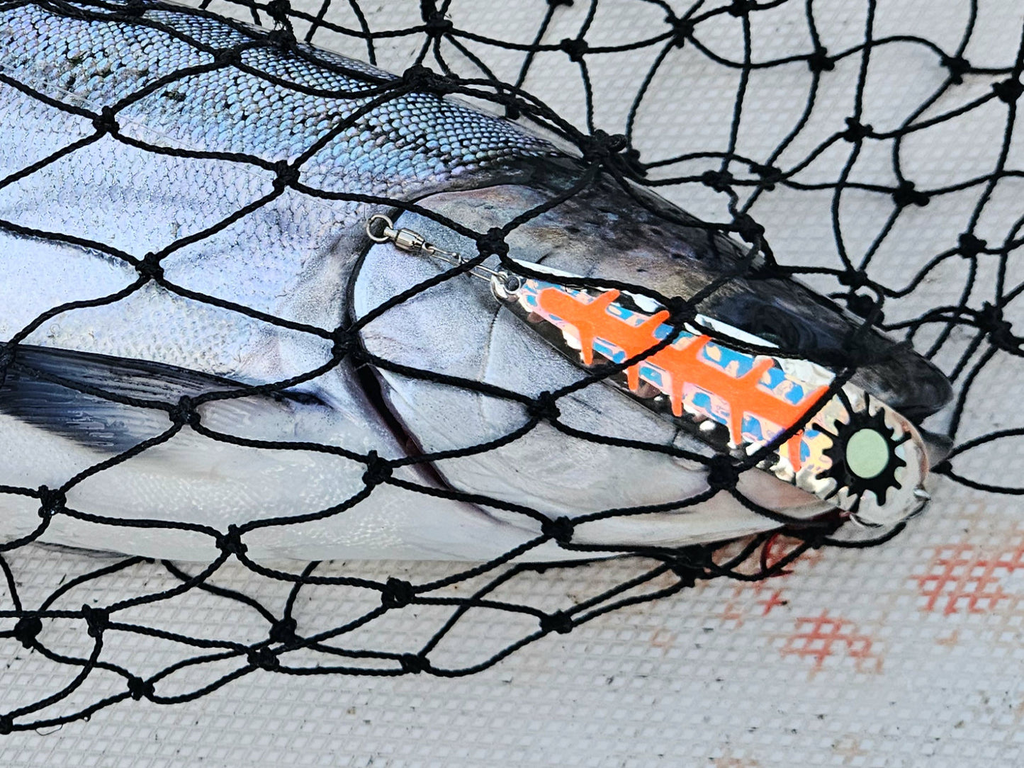 Salmon with Orange and silver spoon in jaw still in net