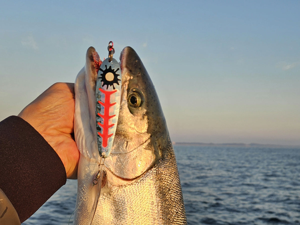 SuperGlow Salmon Trolling Spoon - 'Red Sploosh'