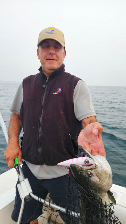 Man holding king salmon in boat with pink and white plug hanging from mouth...net in hand