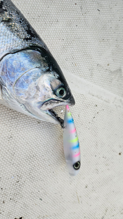 Coho salmon on boat deck with pink yellow blue white plug in mouth
