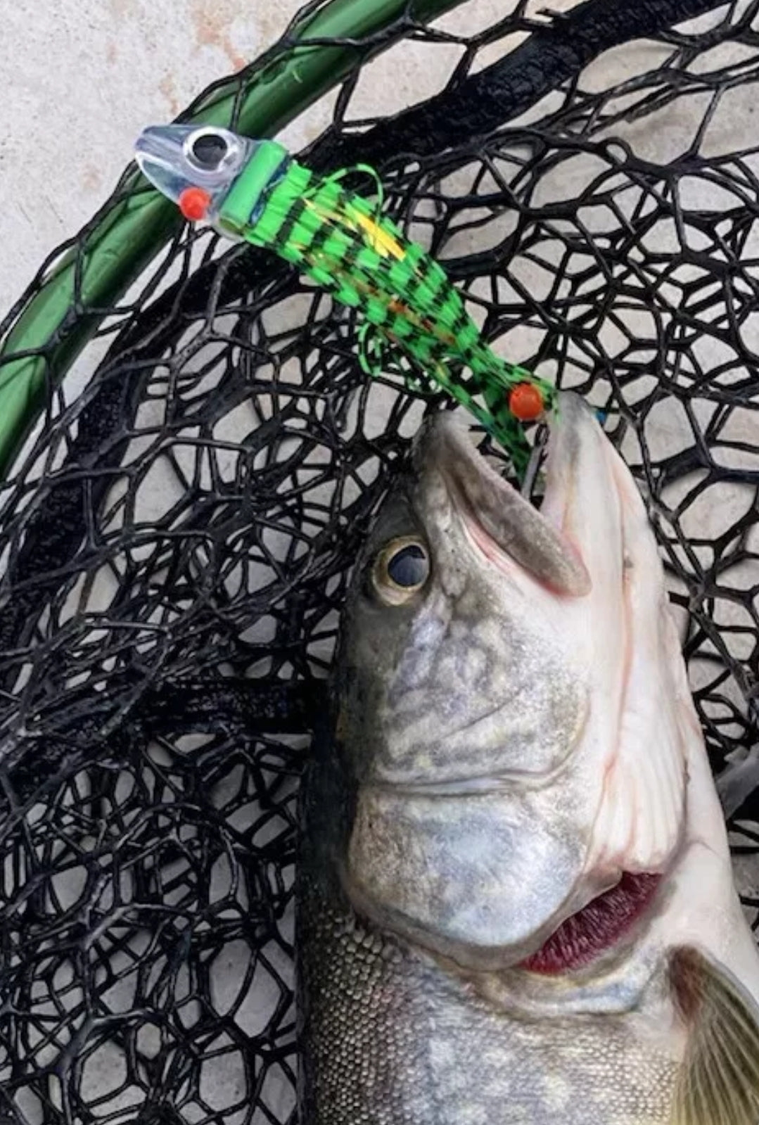FlatHead Glow Salmon Trolling Fly  | Fisher Tackle