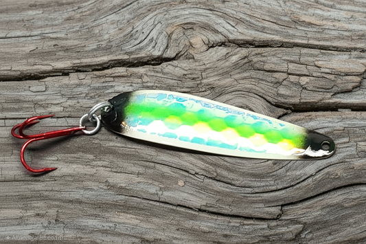 Chrissy-Chrissy spoon on weathered wood background