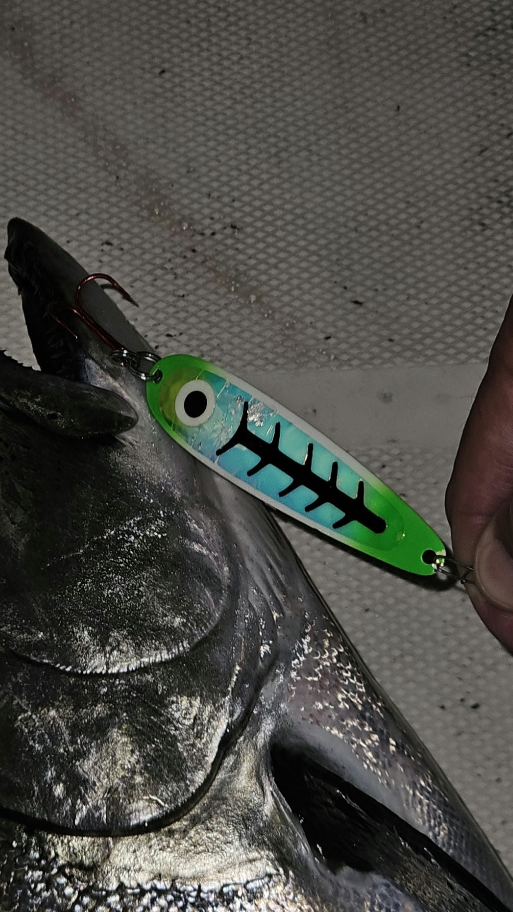 Glow 'Kevins Carbon' Trolling Spoon hanging from big salmons mouth in boat held laying on boat deck