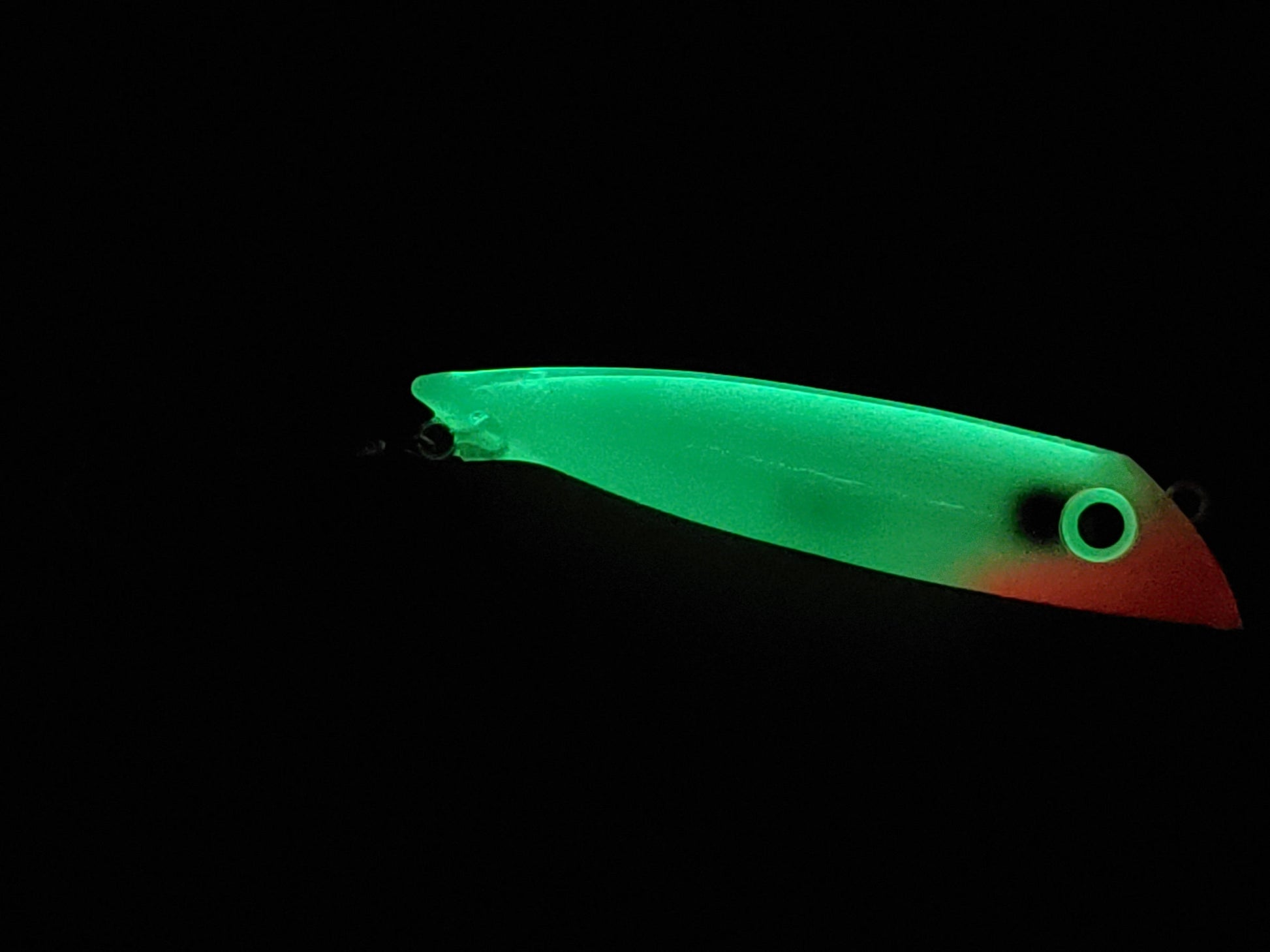 20251105_070122.jpg
