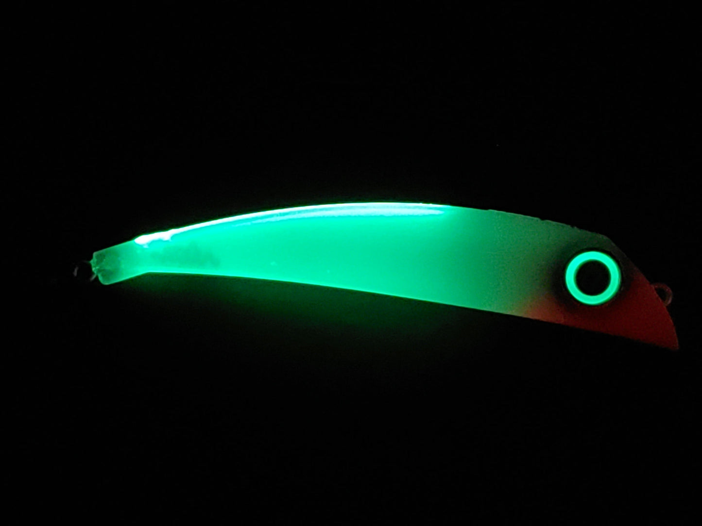 20251117_121407.jpg