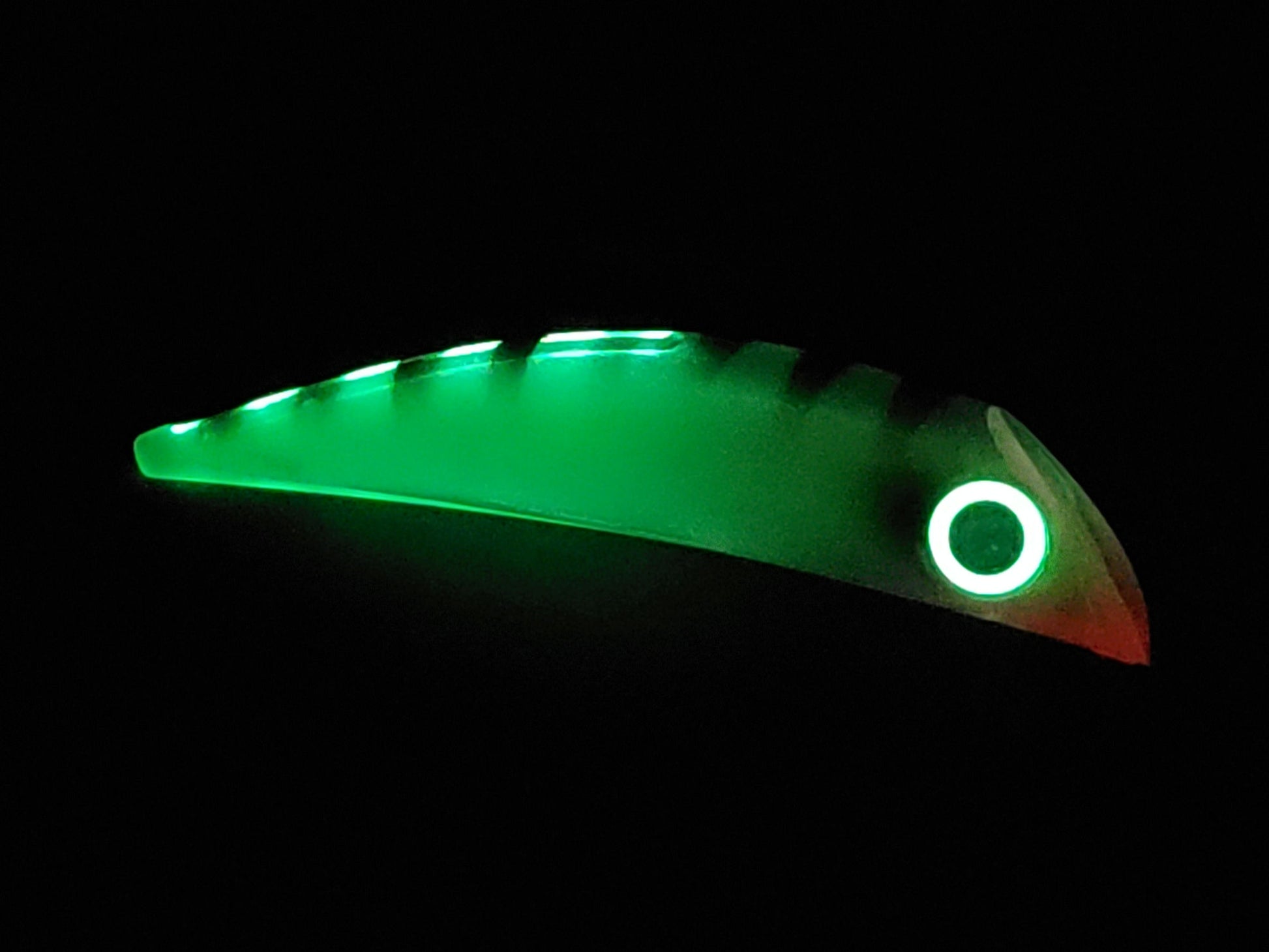 20251105_070300.jpg