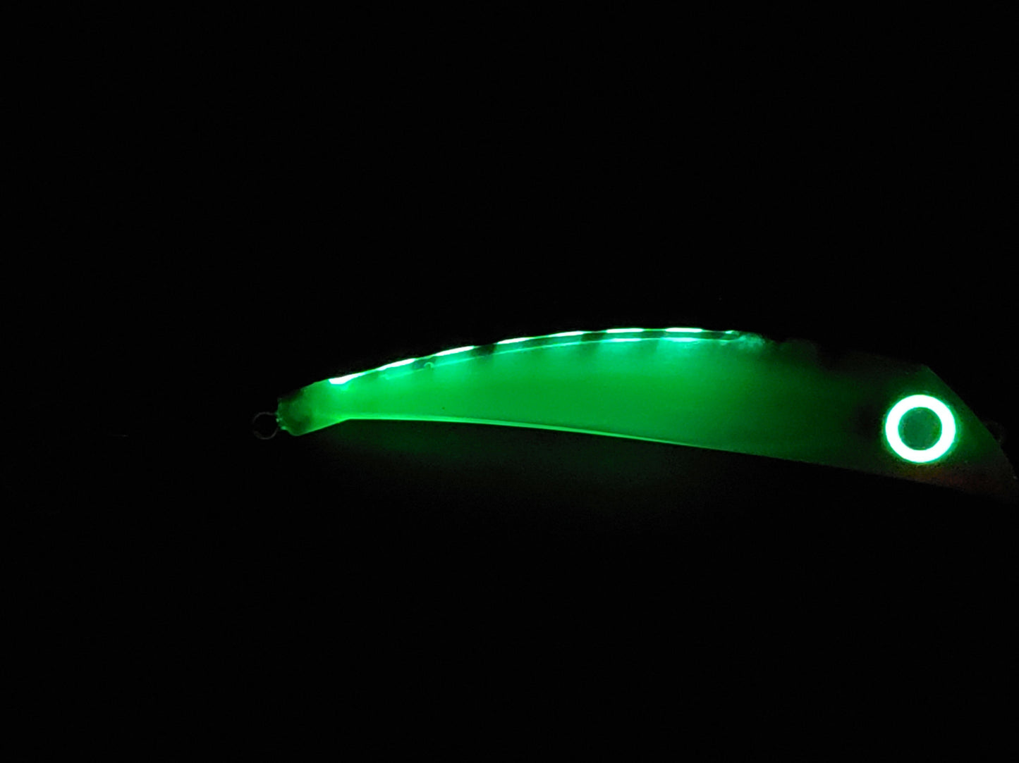 20251105_065843.jpg