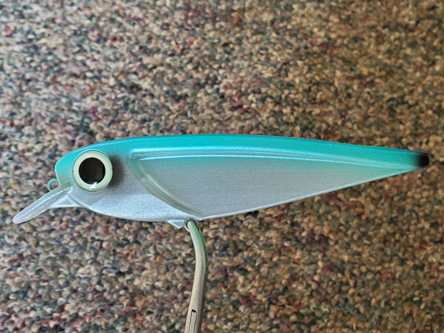 20250904_090836.jpg