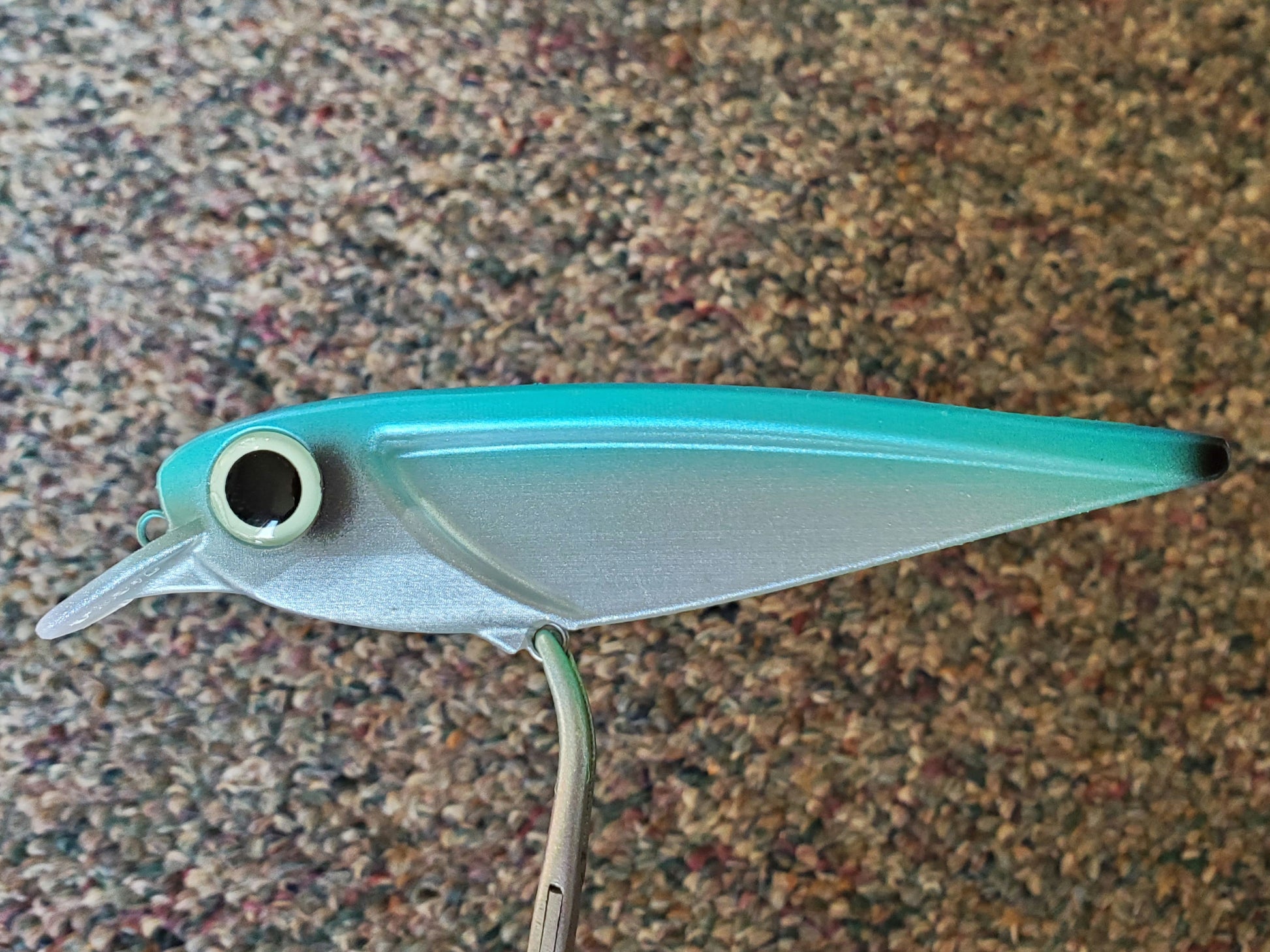 20250904_090836.jpg