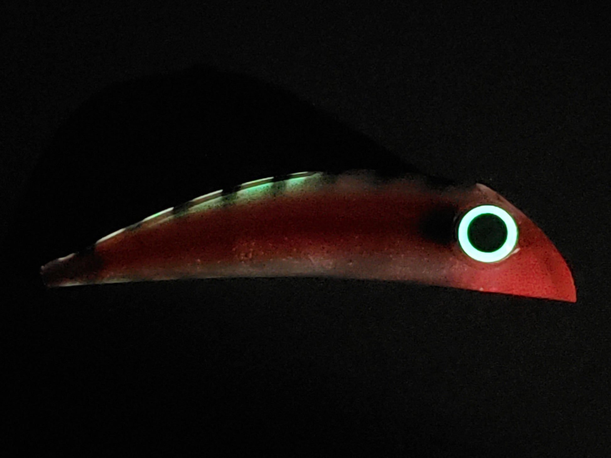 20260121_185547.jpg