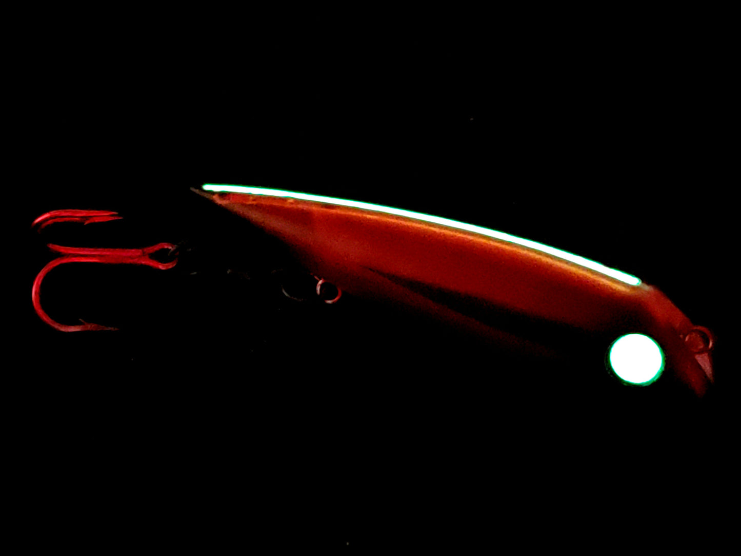 FishGunn Salmon trolling plug 'Mr. Pool' with spine glowing in the dark transmitting an eerie red glow and large all glow 'zombie' eye