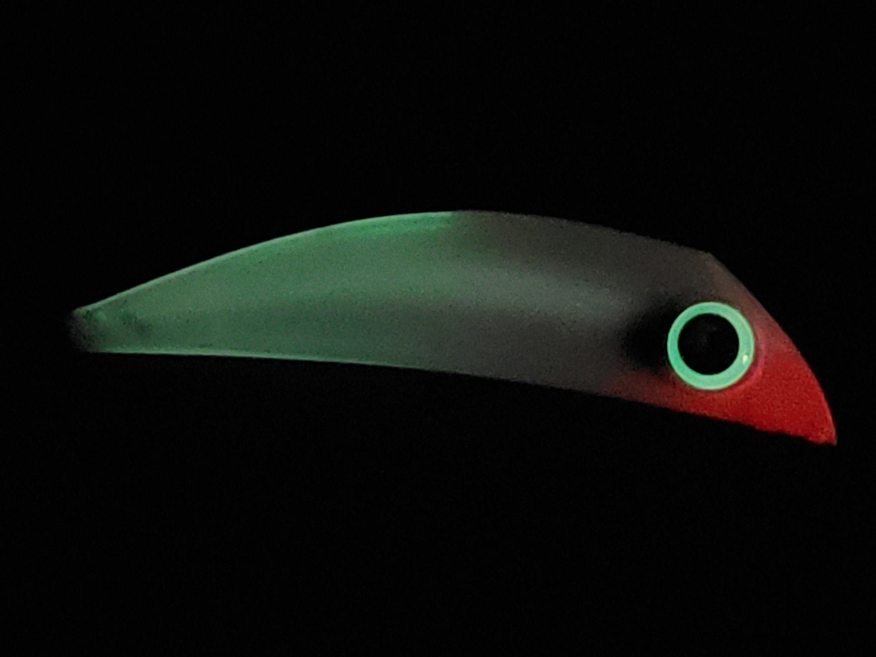 20251105_070325.jpg
