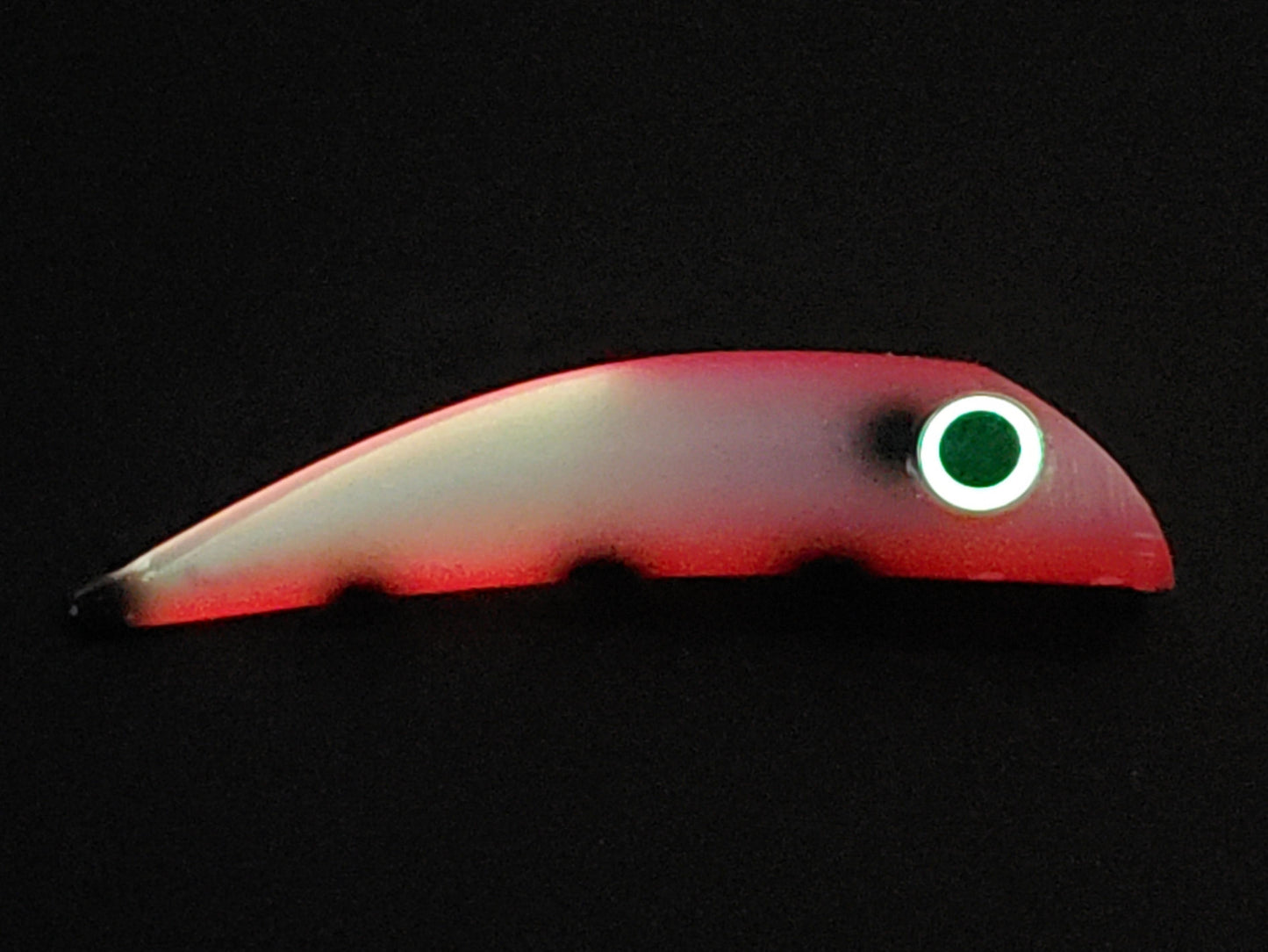 20251211_122125.jpg