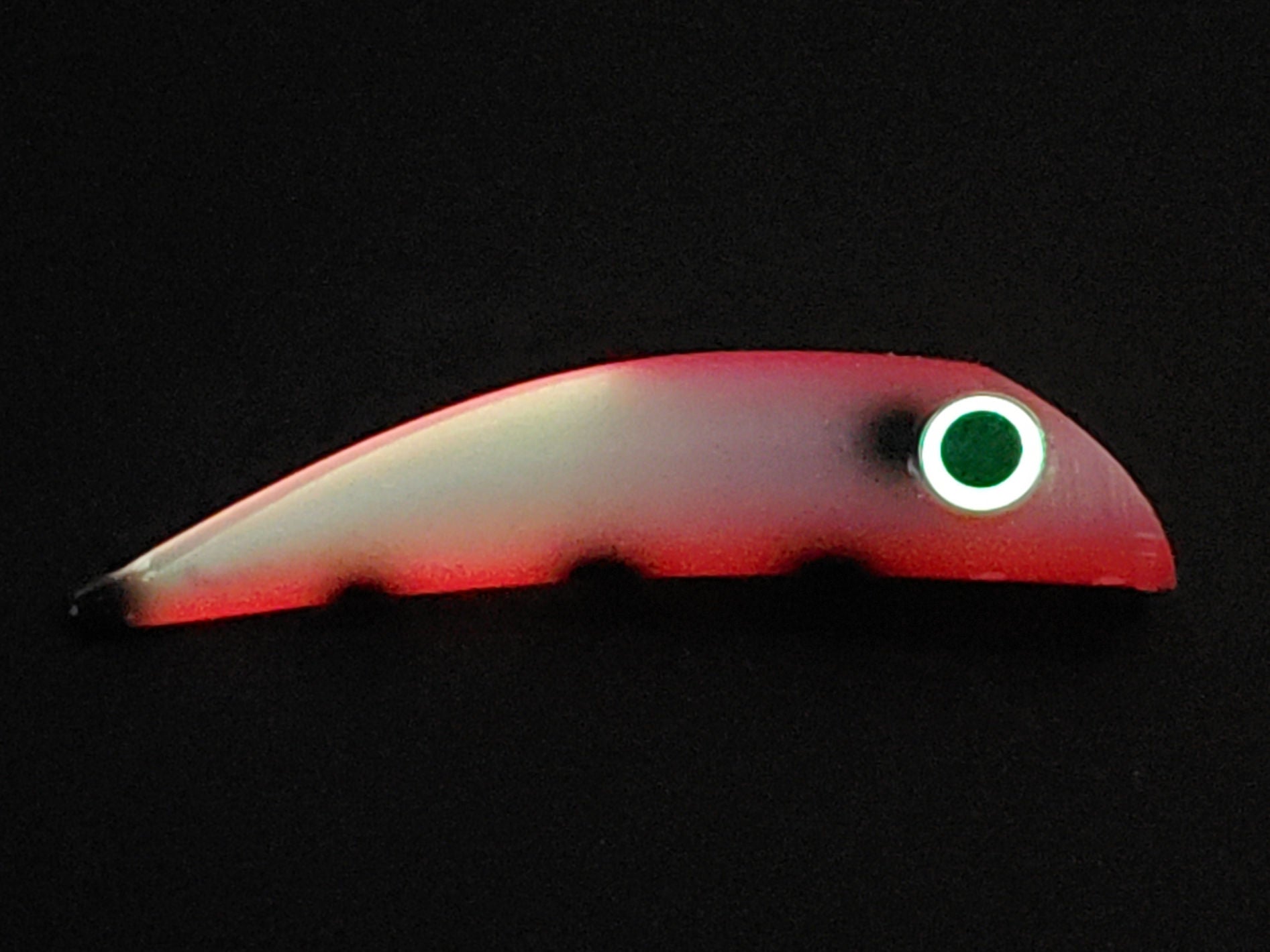 20251211_122125.jpg