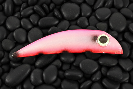 Pink BubbleDart on black pebbles