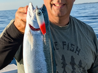 UltraMega Glow 'Bloody Guppy' Custom Salmon Spoon