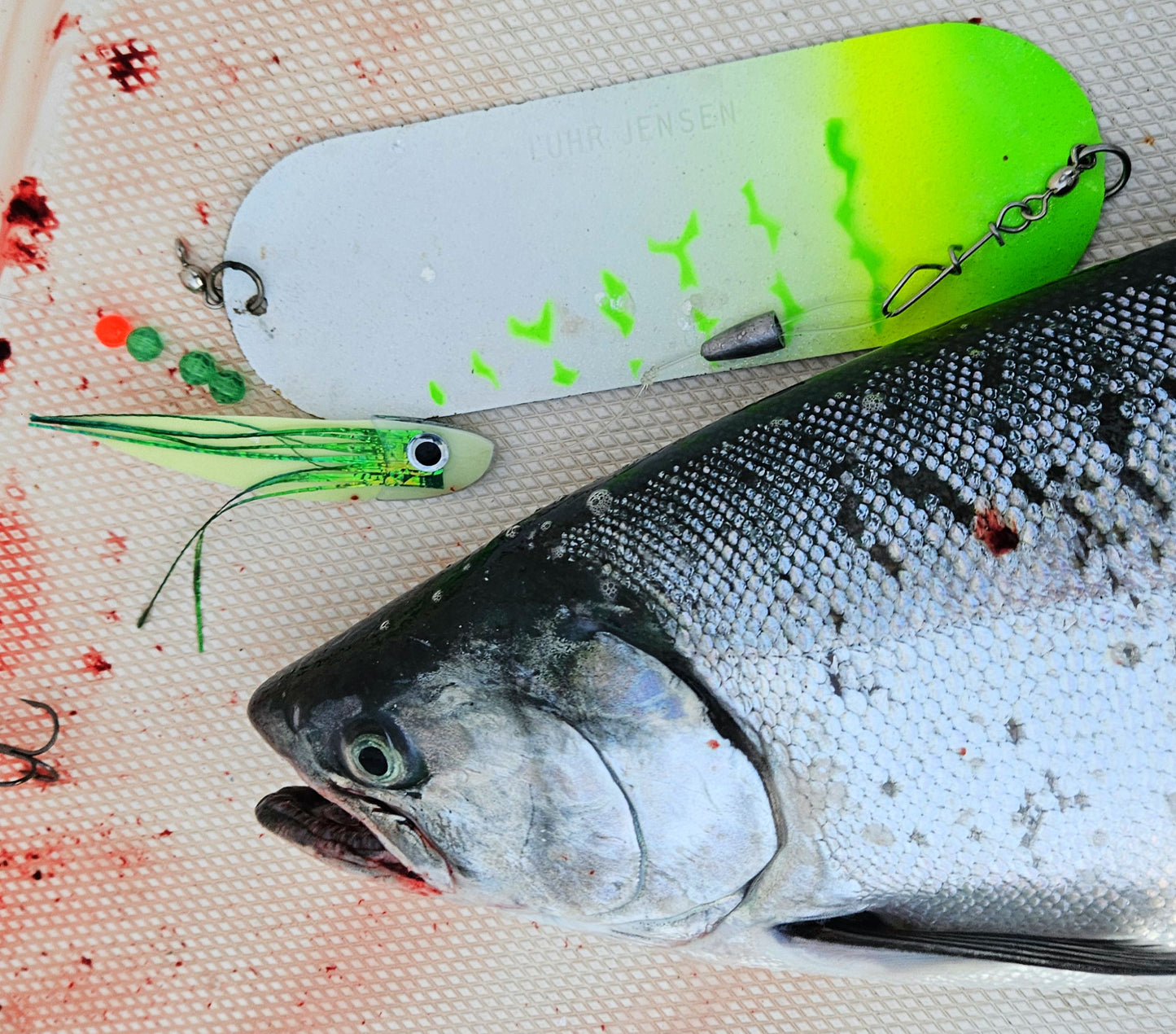 Gunnee StripFly Trolling Strip - Fisher Tackle Company
