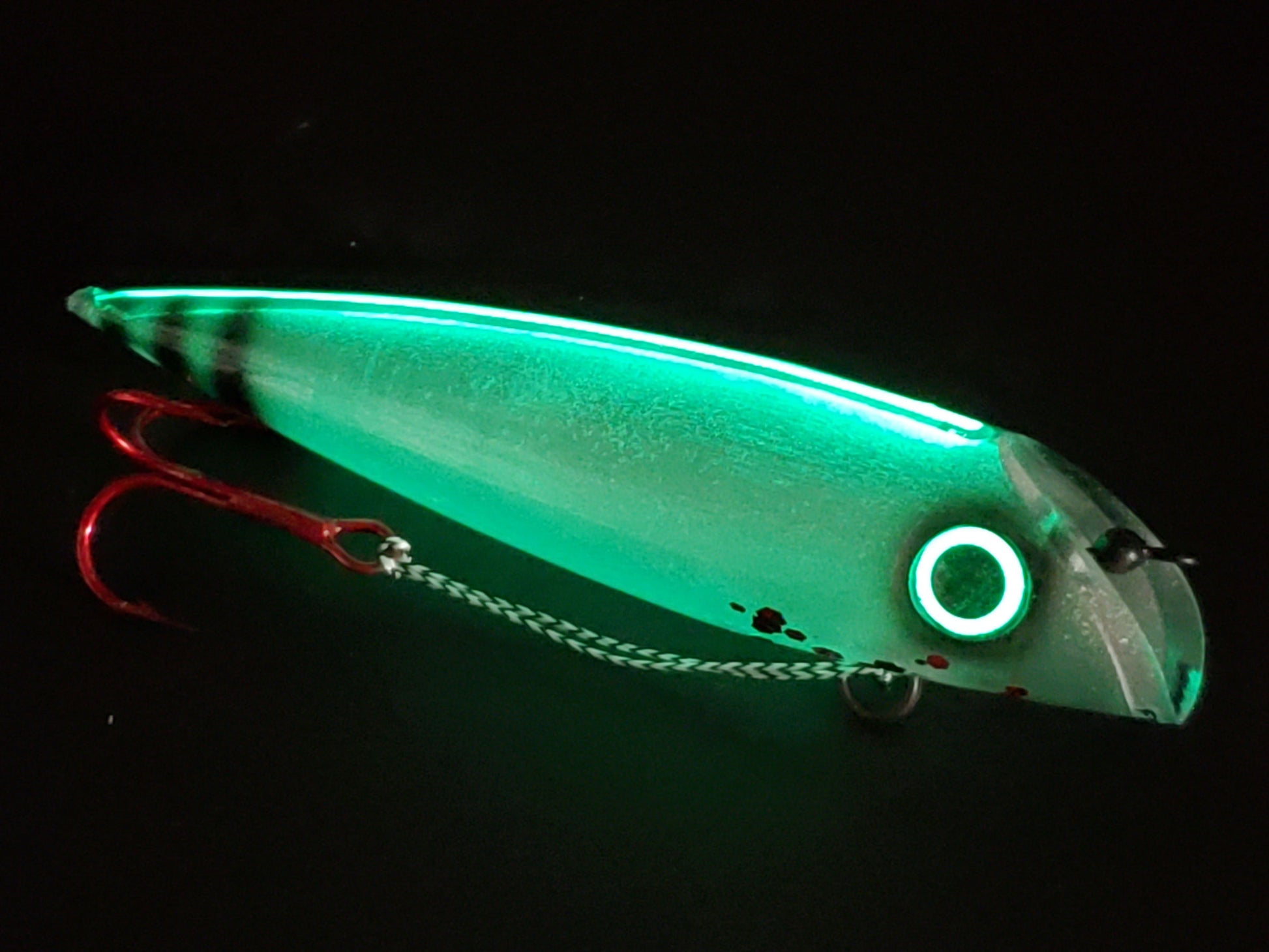 FishGunn Salmon Plug 'Sqweegee' - Fisher Tackle Company