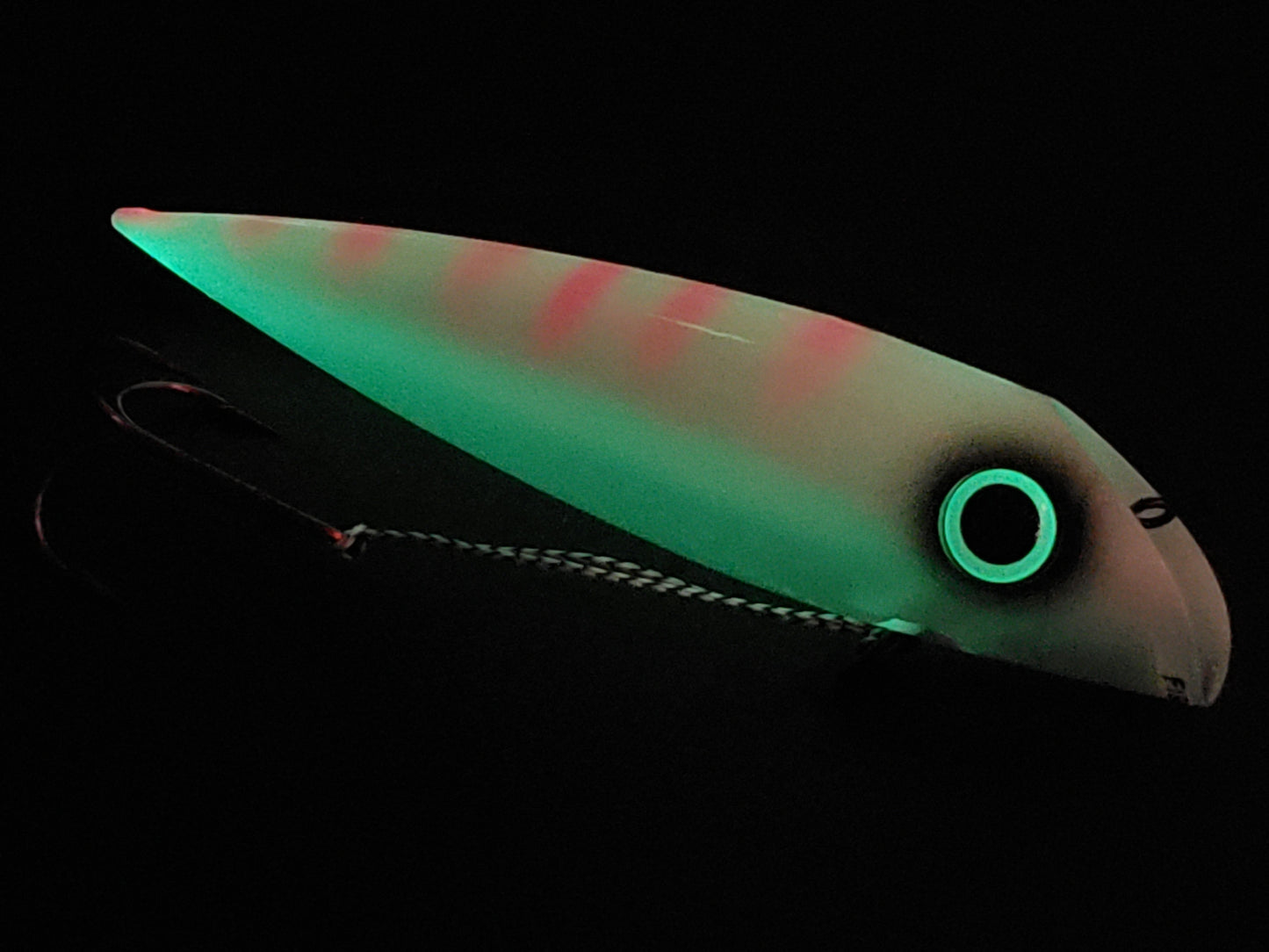 FishGunn Salmon Plug 'Tizzy Fit'